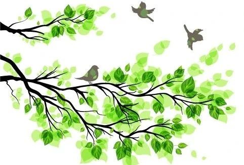 美丽的风筝300字,美丽的风筝潍坊