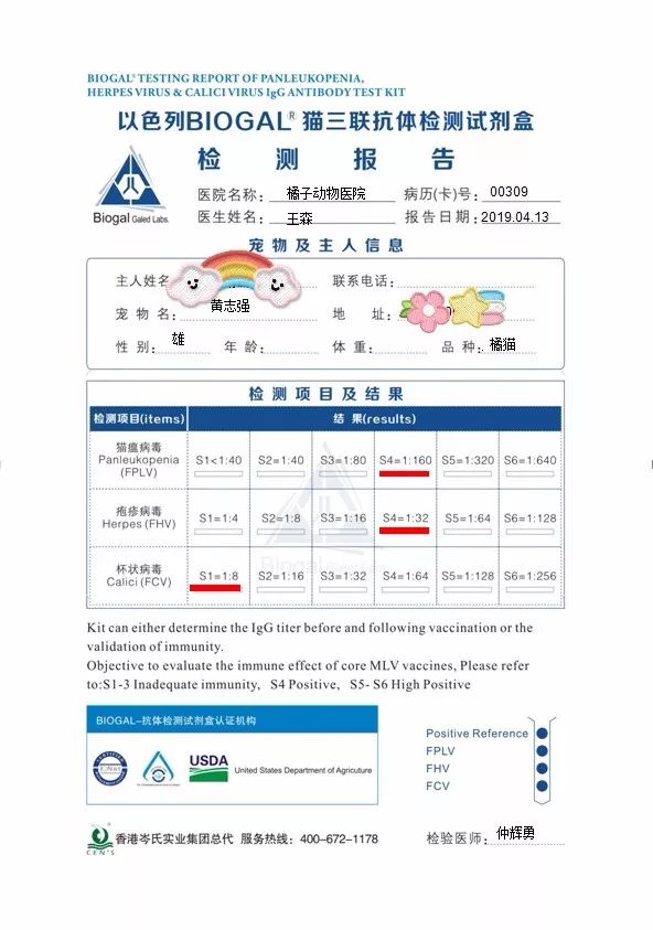 养猫咪新手入门必知疫苗怎么打,新手养猫疫苗怎么打