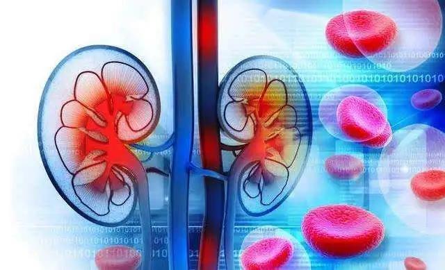 尿潜血3+是肾炎么,肾炎尿潜血3+严重吗怎么治