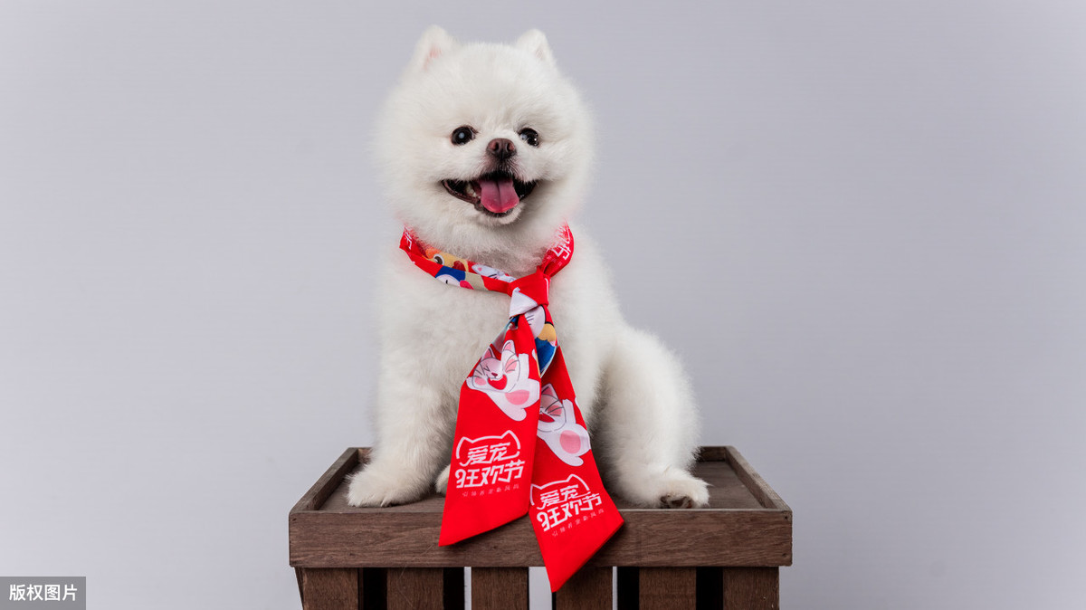 生活小知识：厨房的地板潮湿怎么办？七招教你解决烦恼