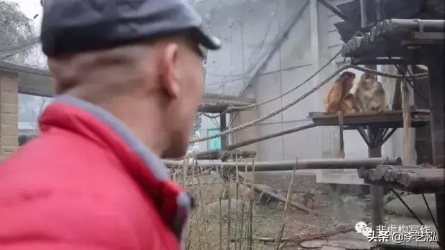 闈炶櫄鏋勭殑鐪熷疄闃呰绛旀,闈炶櫄鏋勭殑鐪熷疄闃呰