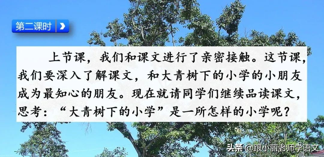 大青树下的小学重要背诵内容,大青树下的小学重点知识点