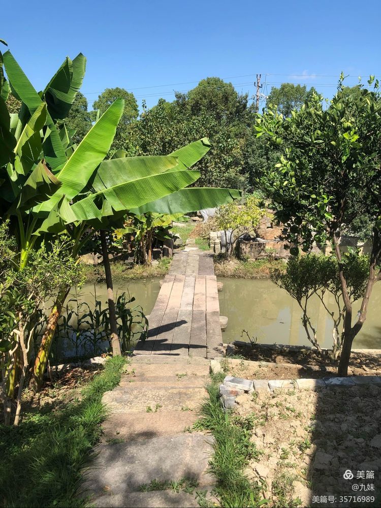 走进风雅石园，位于王店镇聚宝湾景区里