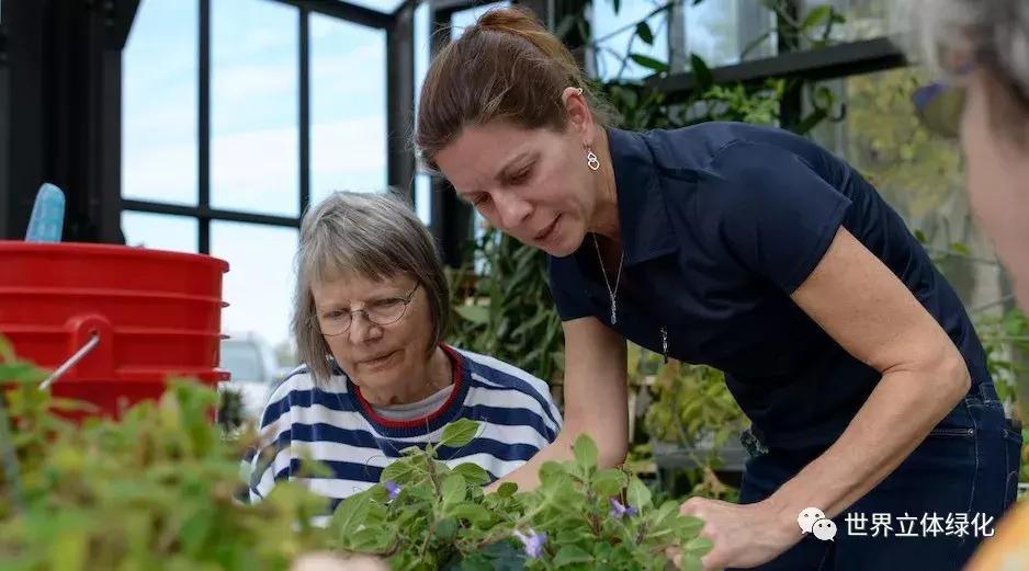 为什么园艺疗法能快速发展,园艺疗法的应用领域