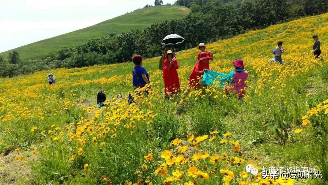 英歌石植物园限行吗,大连英歌石植物园牧场