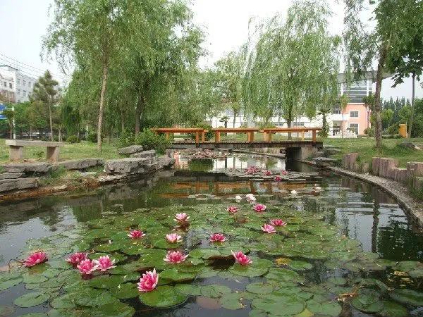 开封3+2本科院校有哪些,河南开封公办二本大学