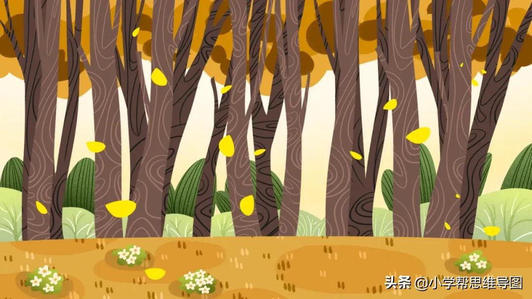 作文展｜《一棵树》《断尺》《兔子莉莉》《小蚂蚁摘星星》​