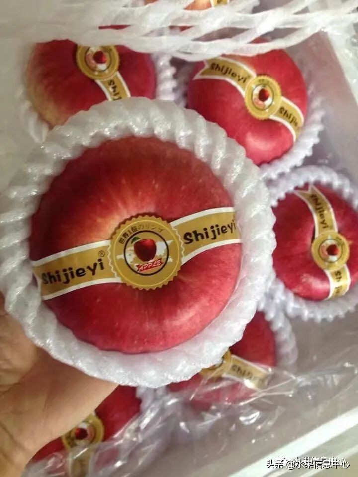 目前最有发展前途的早熟苹果品种,现在最好的富士苹果是什么品种