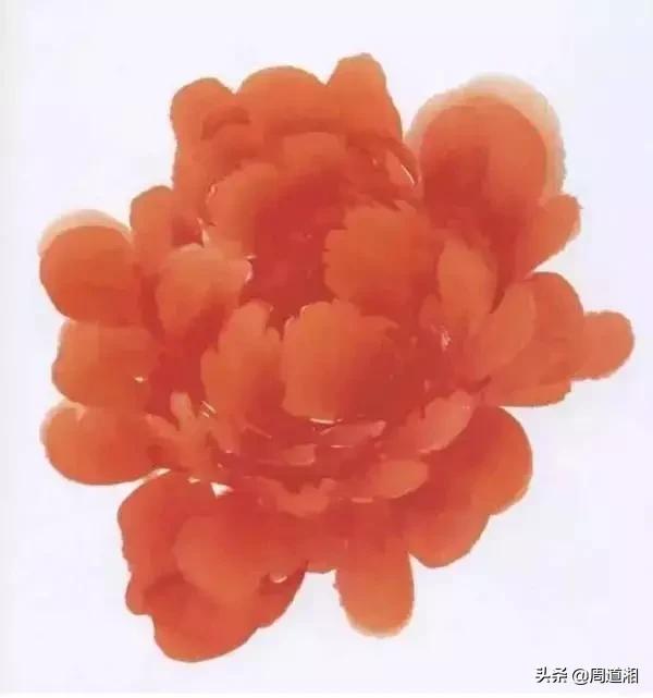 九种牡丹调色法,牡丹九大色系图片大全