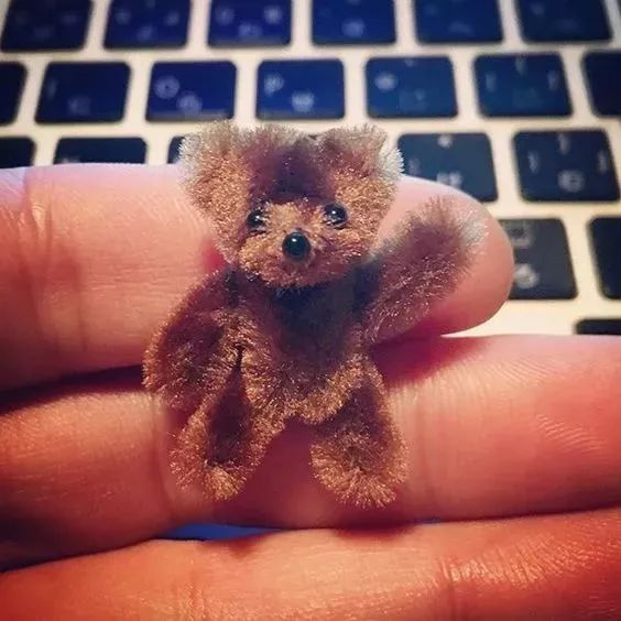 毛根扭扭棒手工制作过程图文,毛根扭扭棒手工制作教程过程图文