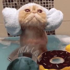 检查化妆品常见问题,赶紧查看一下你的护肤品成分