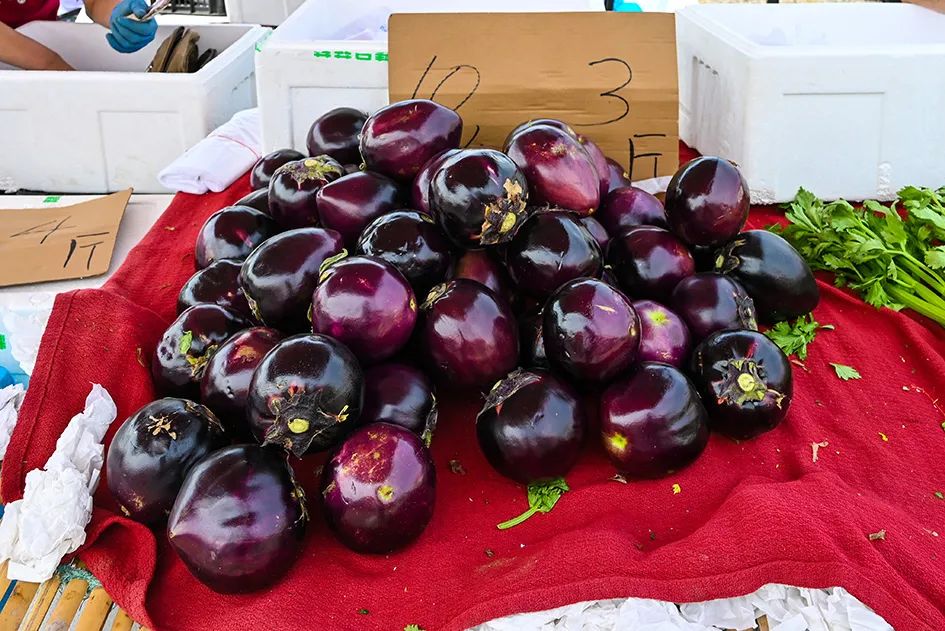 北京京郊大集地理位置,今天京郊哪有大集