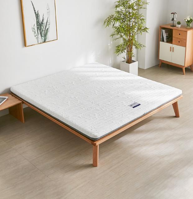 椰棕床褥十大排行,椰棕床垫十大品牌排名