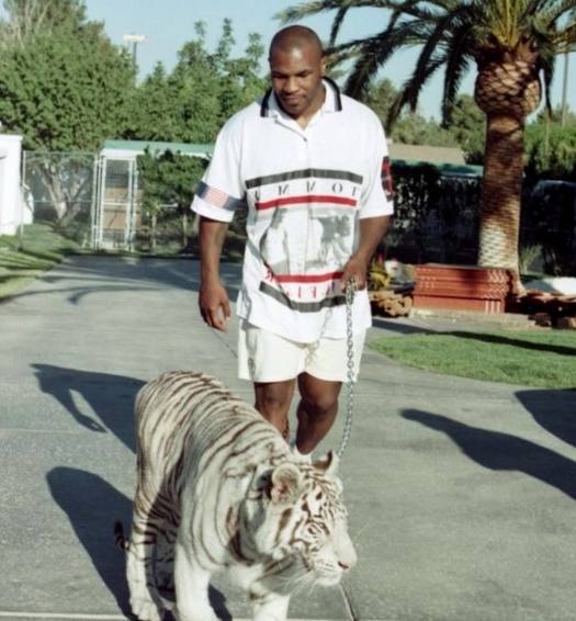 泰森真的没钱了吗,泰森现如今的住所