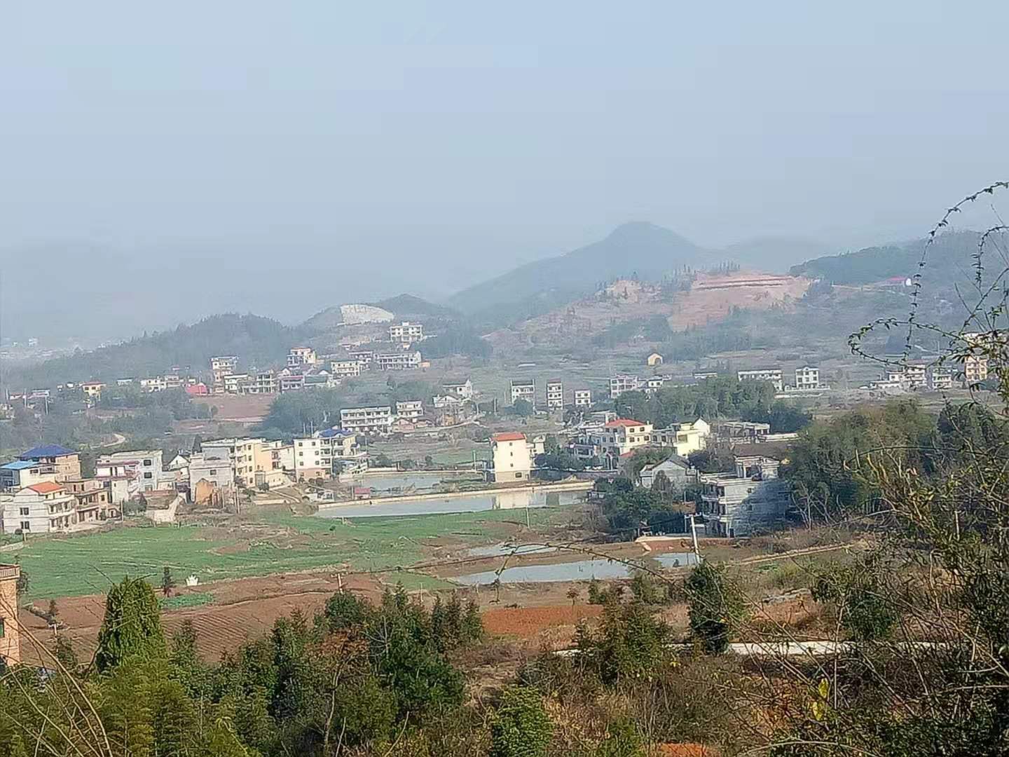 想当音乐老师要怎么考,当音乐老师的真实感受