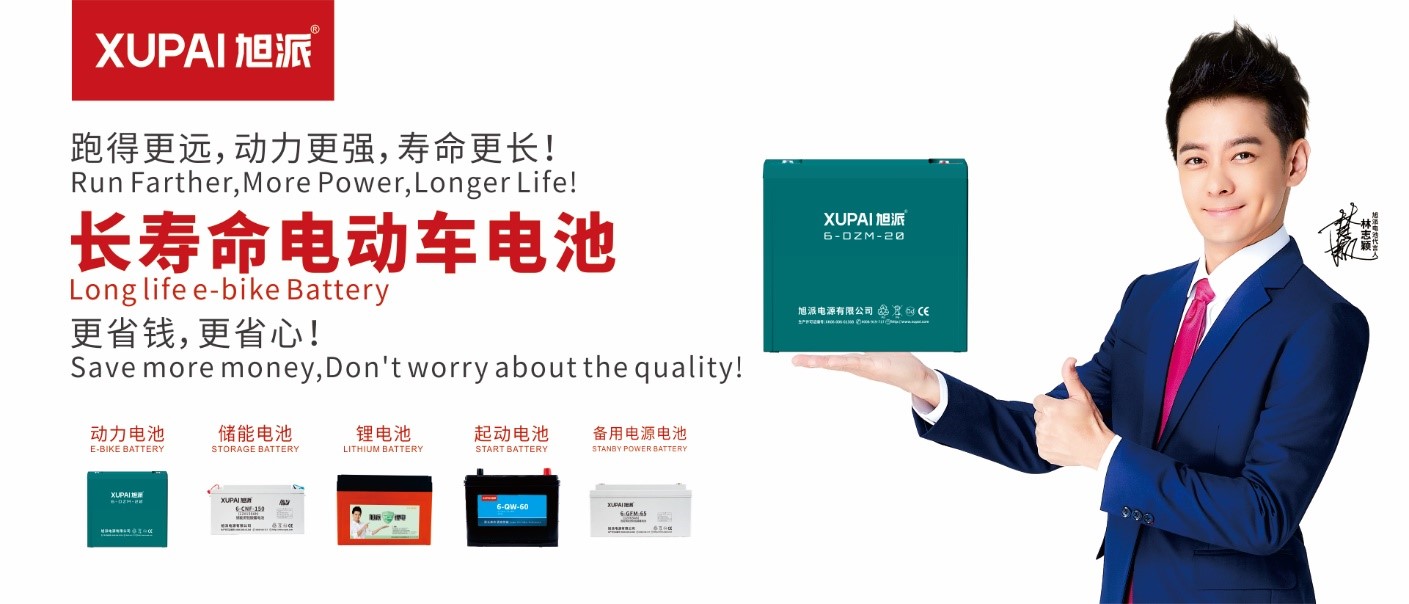 电动车电池哪个品牌好耐用寿命长,哪些品牌电动车电池是终身质保的