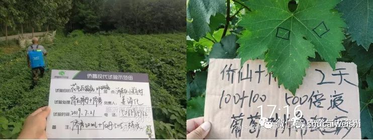 细菌感染不用吃药能好吗,细菌感冒不用吃药自愈
