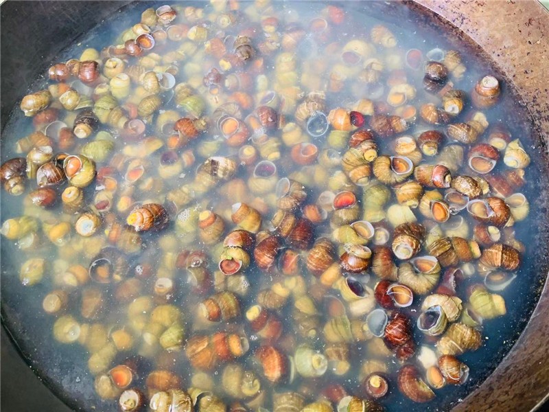 洗田螺都是粘液,洗田螺为什么要放油