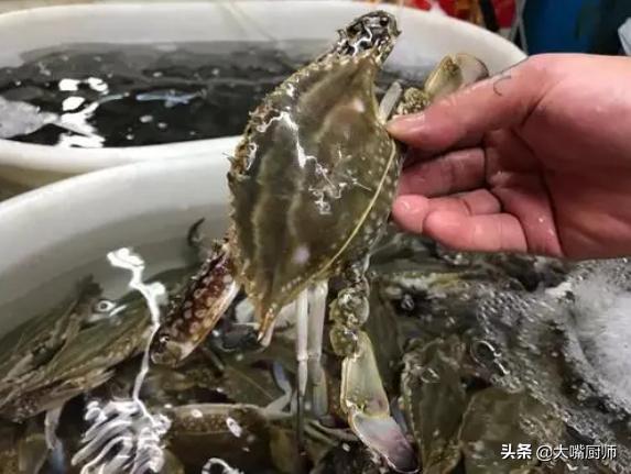 梭子蟹吃不完可以冷冻吗,梭子蟹要第二天吃该怎么存放