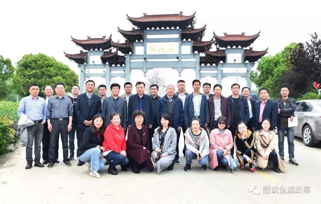 金湖荷花荡灯光秀,金湖荷花池塘美景