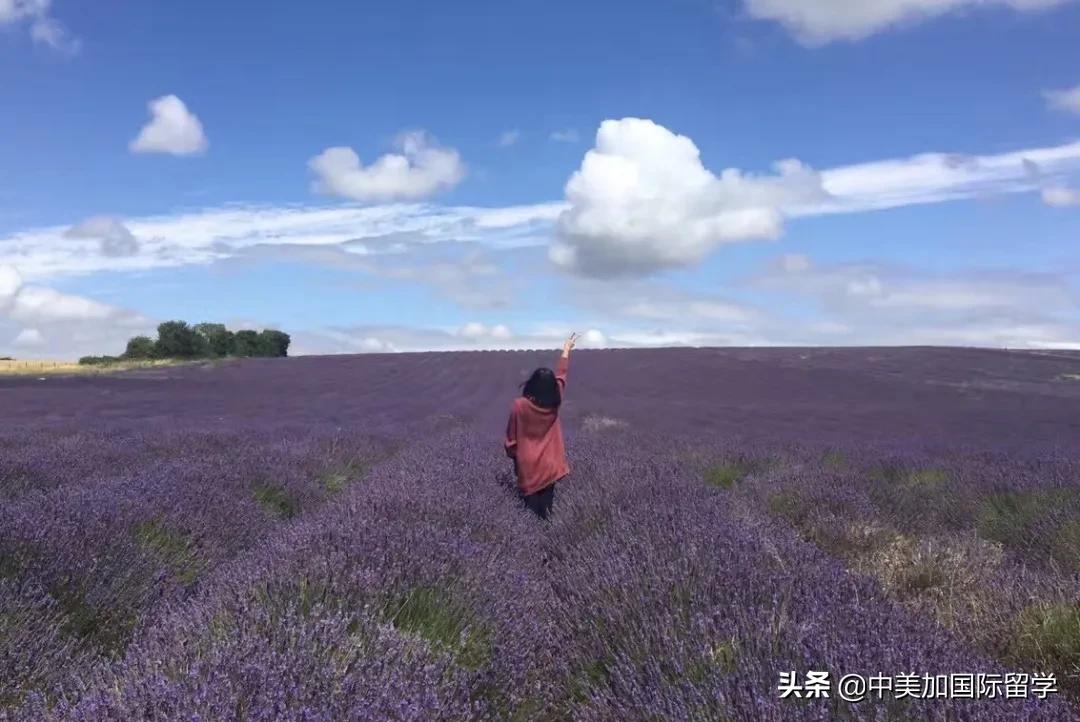 认真规划持续努力，学霸小姐姐斩获IC、新国立、南洋理工和港大