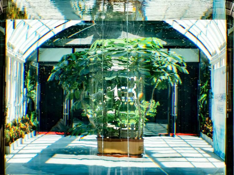 沈阳冬季游玩的好地方推荐,冬季沈阳附近哪个城市适合旅游