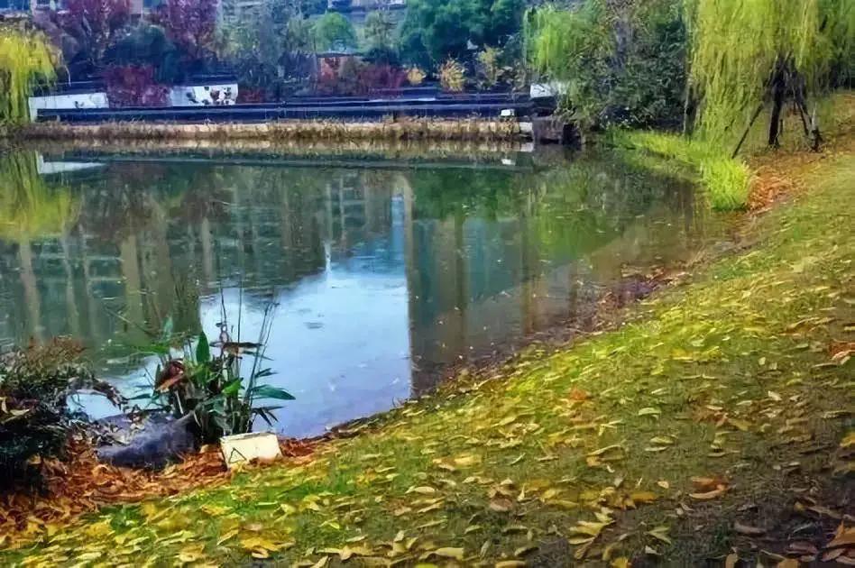 江干彭埠,杭州江干彭埠