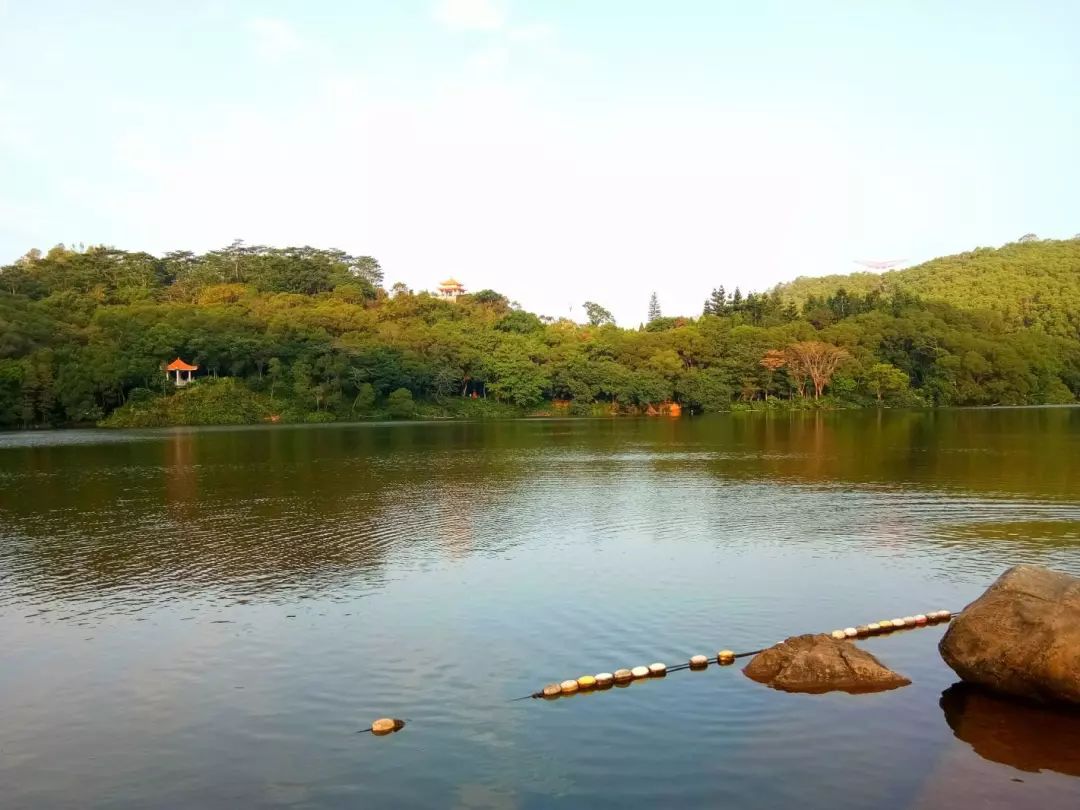 深圳一日游必去的地方有地铁站,深圳自驾游一日游最佳路线图