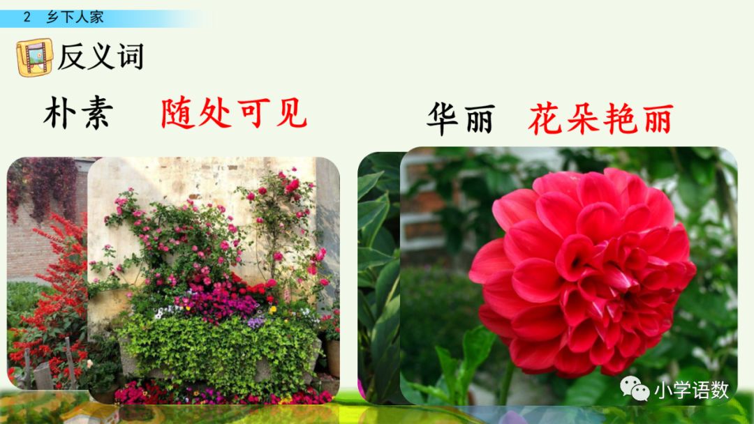 四年级下册乡下人家小练笔350字,四年级语文下册繁星精讲教学视频