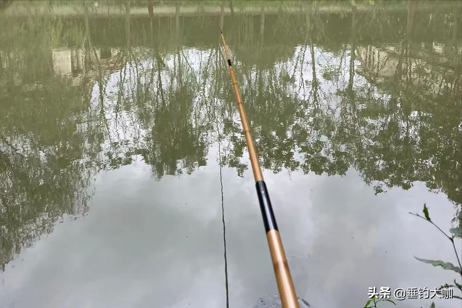 性价比高的钓竿推荐一款,持感轻5.4百元钓竿测评