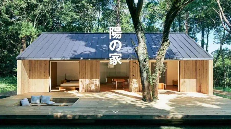 各种家具木材排行,十大家具木材排行榜