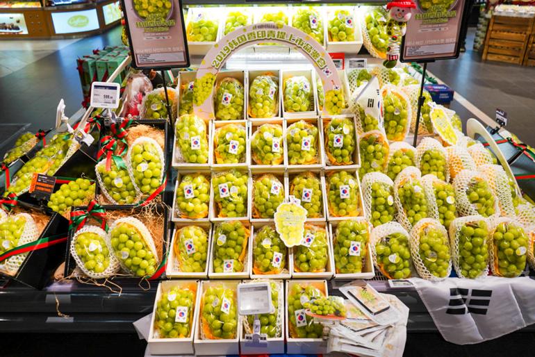 韩国香印青提介绍,寒冬凛冽韩文版