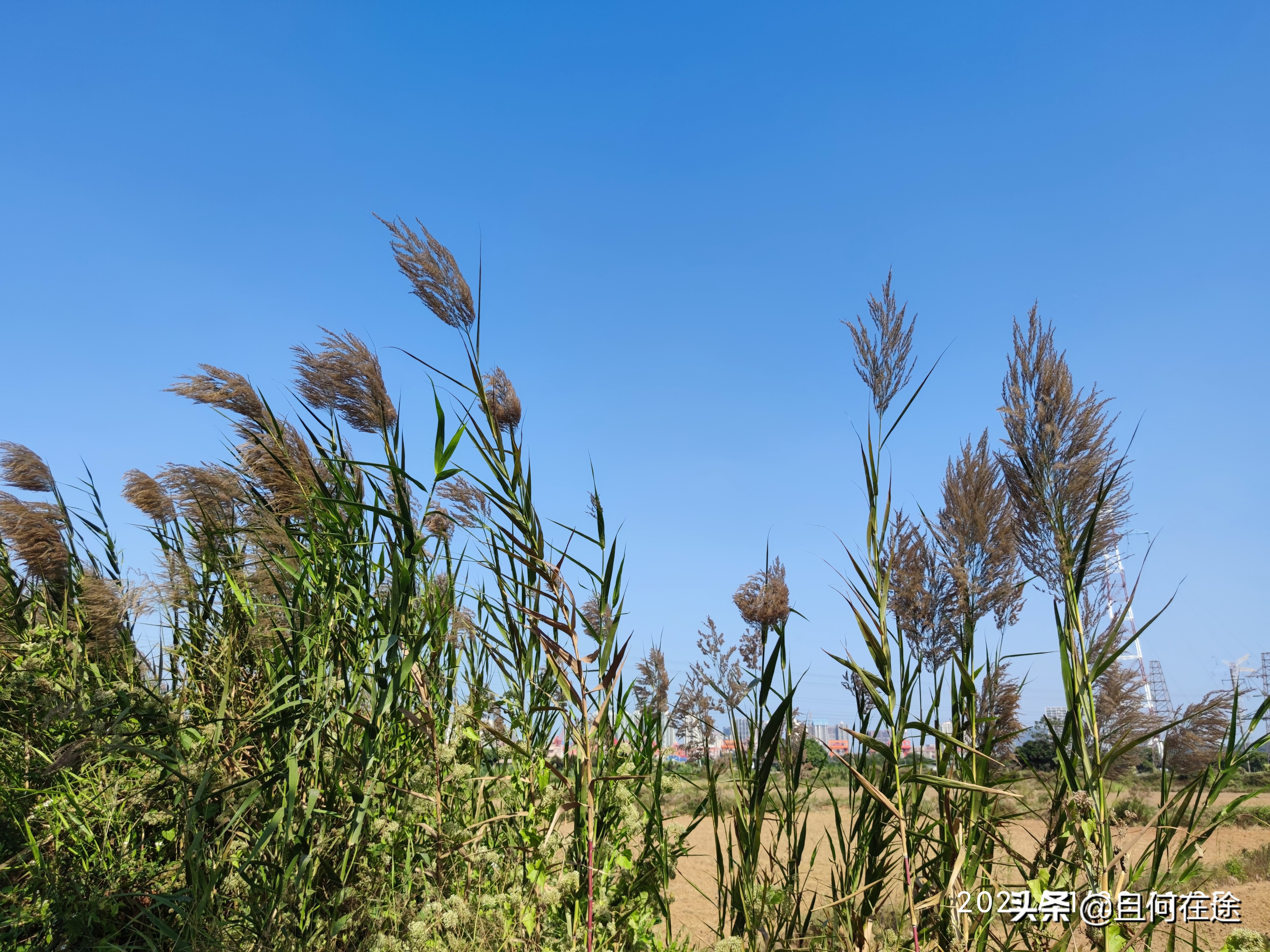 为什么要把饭碗牢牢端在自己手中,怎样才能把自己饭碗端在自己手里