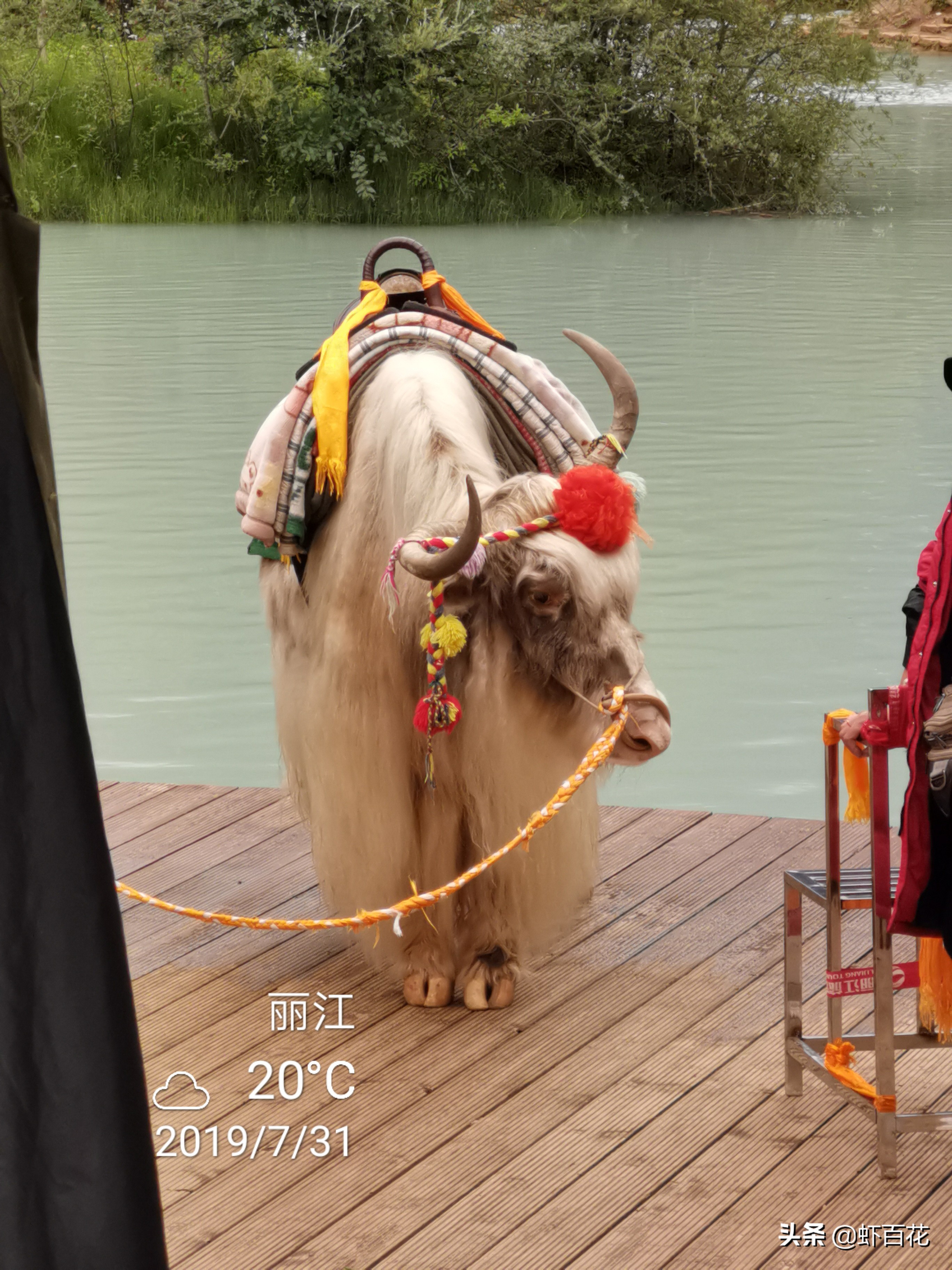 玉龙雪山三个索道一天可以玩完吗,玉龙雪山不坐索道游玩攻略