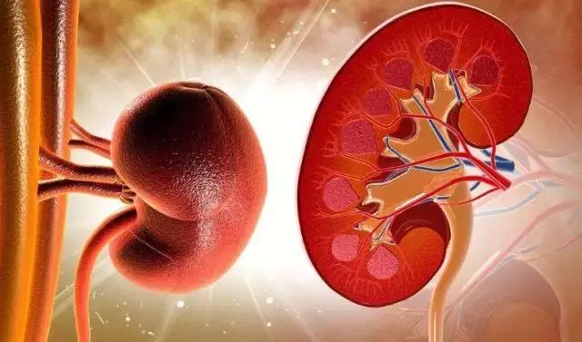 出汗腰痛、同房力不从心,是不是肾脏有问题?
