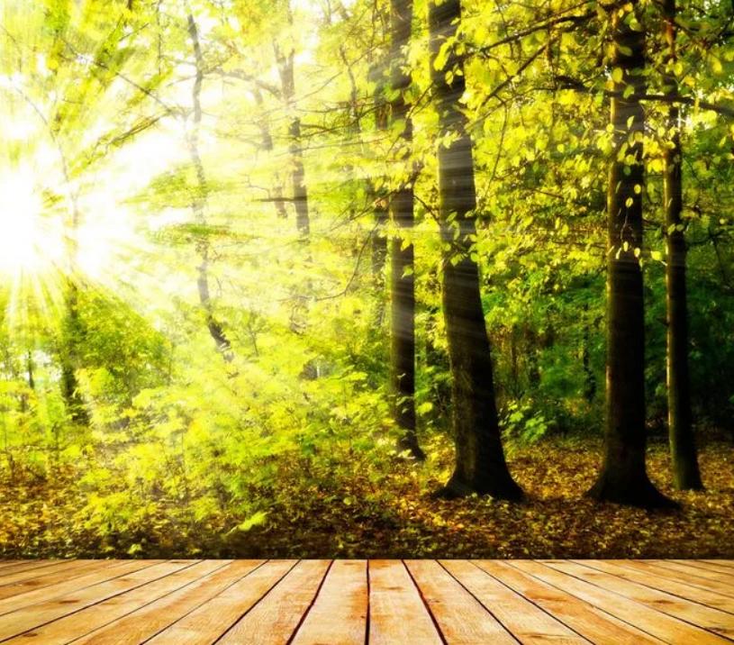 林徽因惊艳的时光,林徽因一片阳光原文