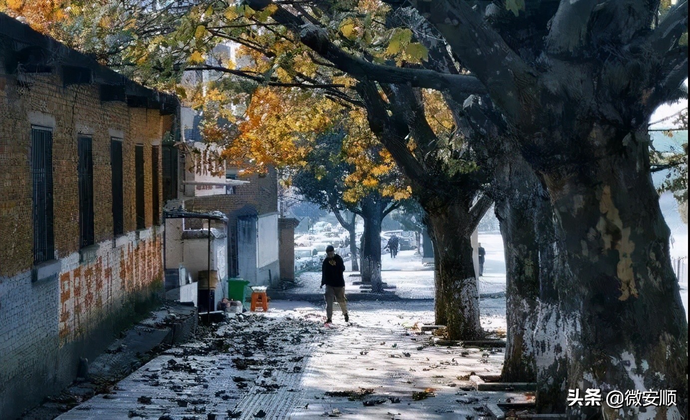 你好！我叫安顺，这是我2021最新简历