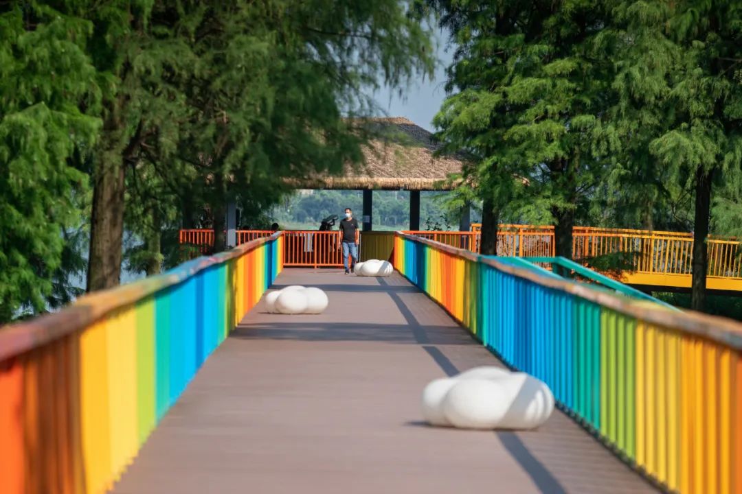 武汉华侨城湿地公园绿化,华侨城生态湿地公园武汉什么区