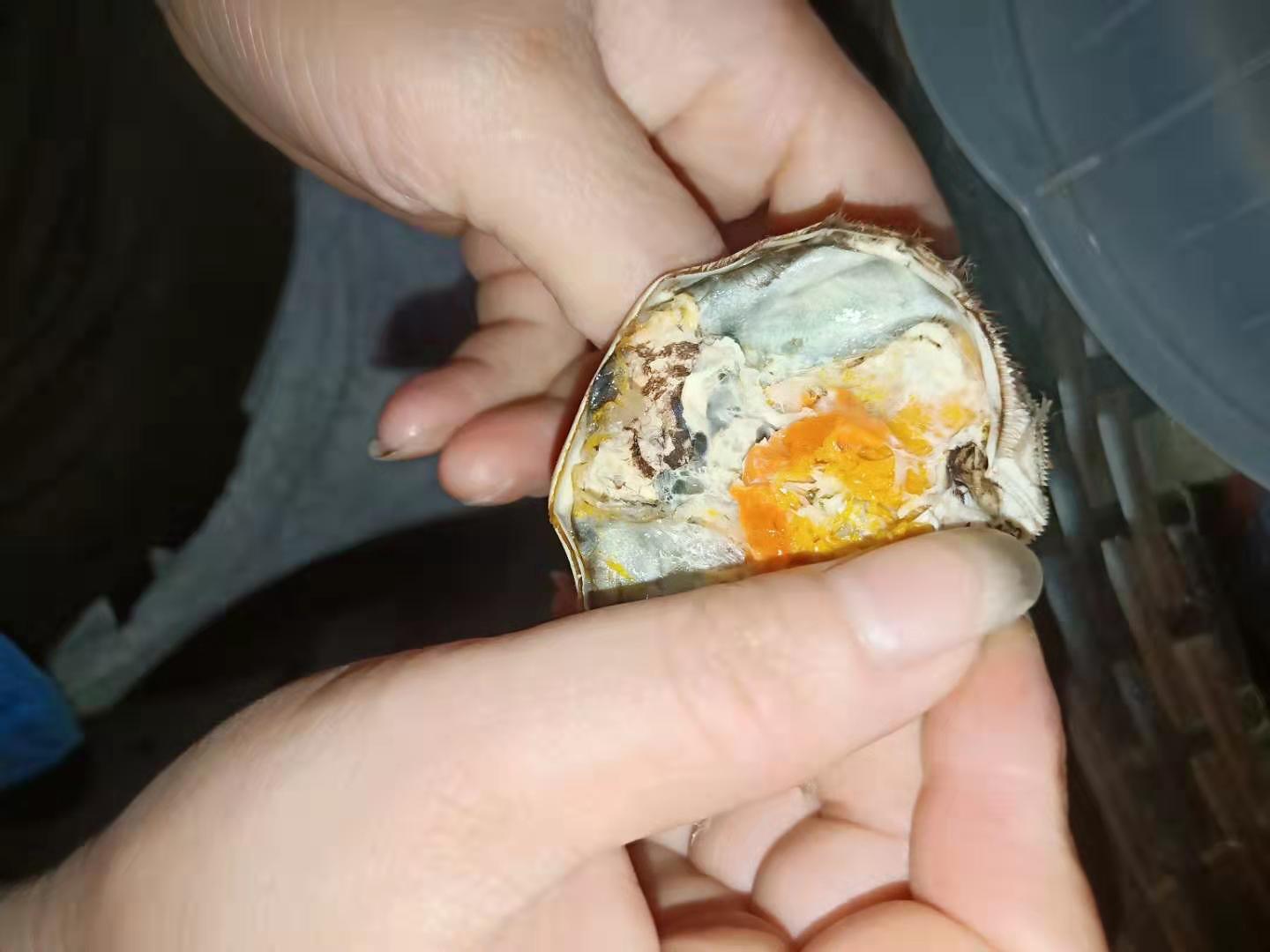 吃螃蟹正确方法,正确吃螃蟹的方法大家看过来