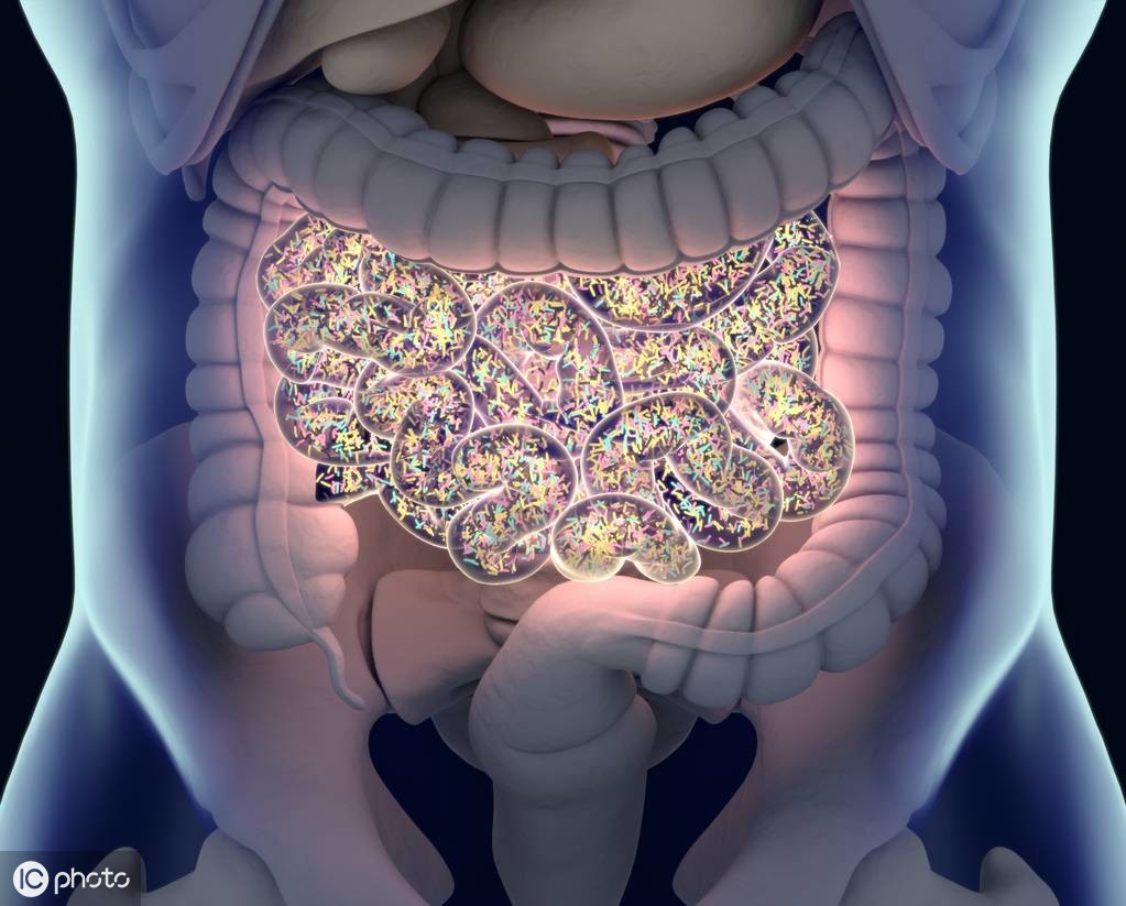 经常便秘但是没有别的症状,孕期便秘吃什么食物最快通便