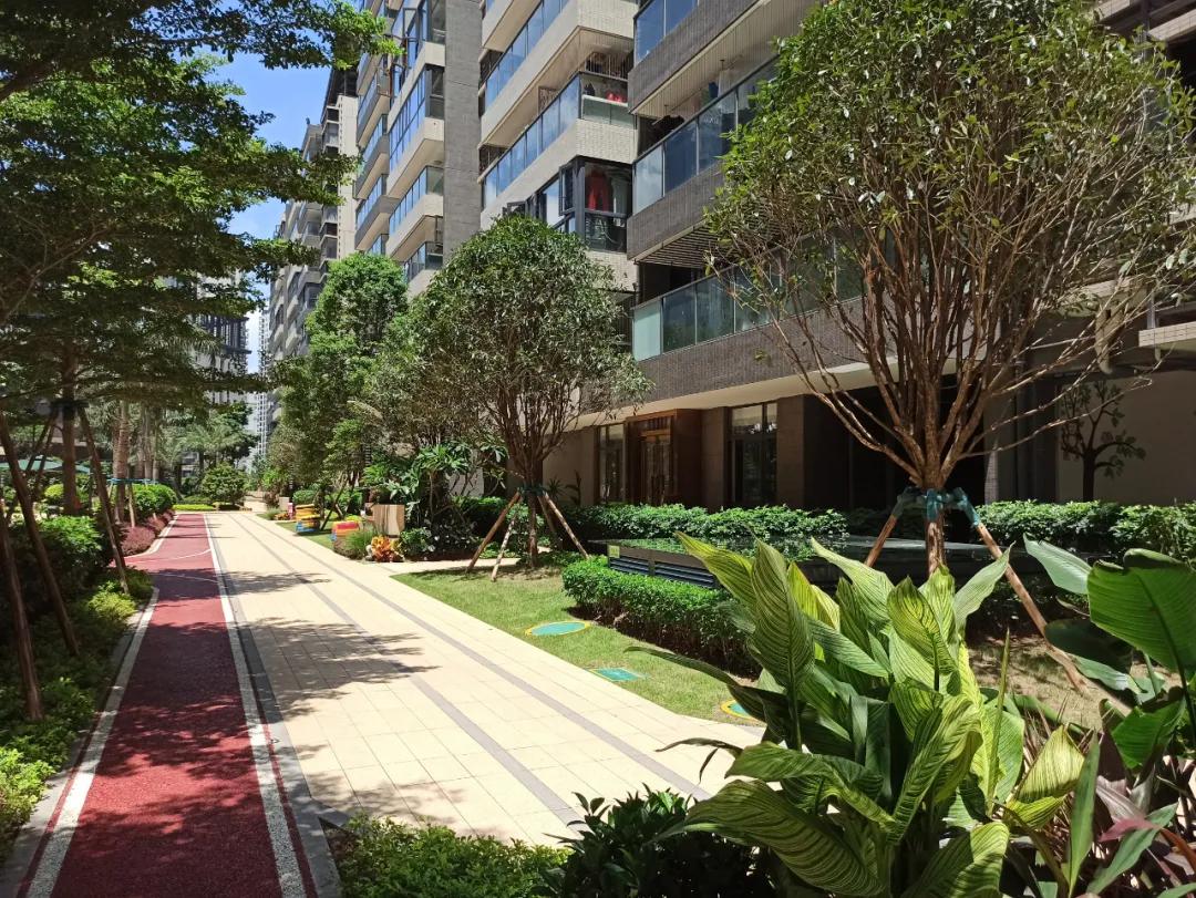 彰泰城二期房子怎么样,梧州彰泰城三期什么时候交房