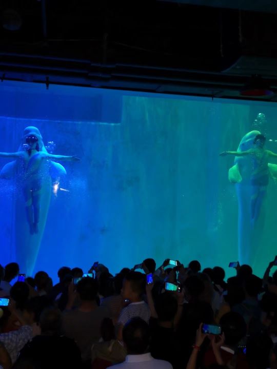 哈尔滨海拉尔呼伦贝尔旅游游记,哈尔滨漠河满洲里旅游攻略