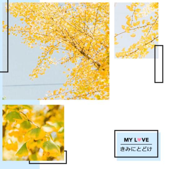 五一幼儿园大型亲子活动,青苹果幼儿园开展亲子活动