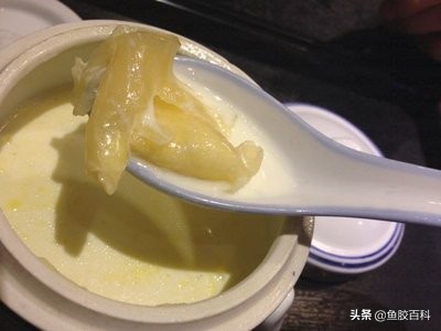 鱼胶要怎样做来吃效果好,鱼胶怎么吃最营养鱼胶的做法大全