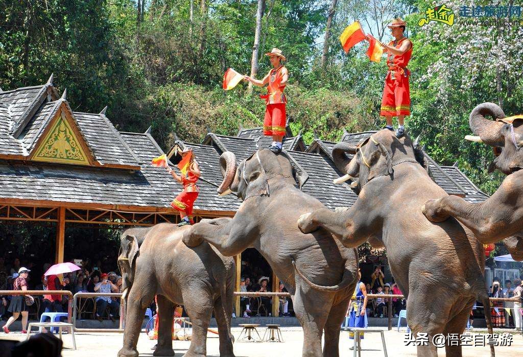 昆明自驾西双版纳沿途旅游景点,昆明至西双版纳沿途旅游景点