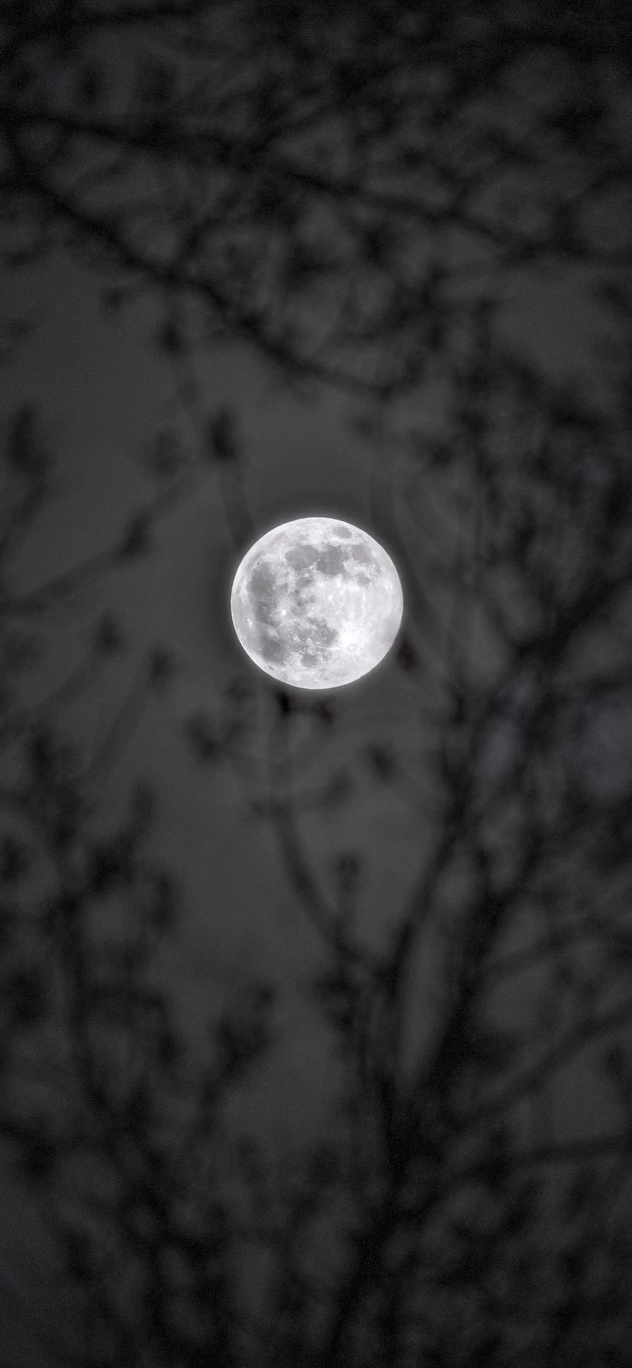 高清夜空中最亮的星全屏壁纸,黑夜中最亮的星星壁纸
