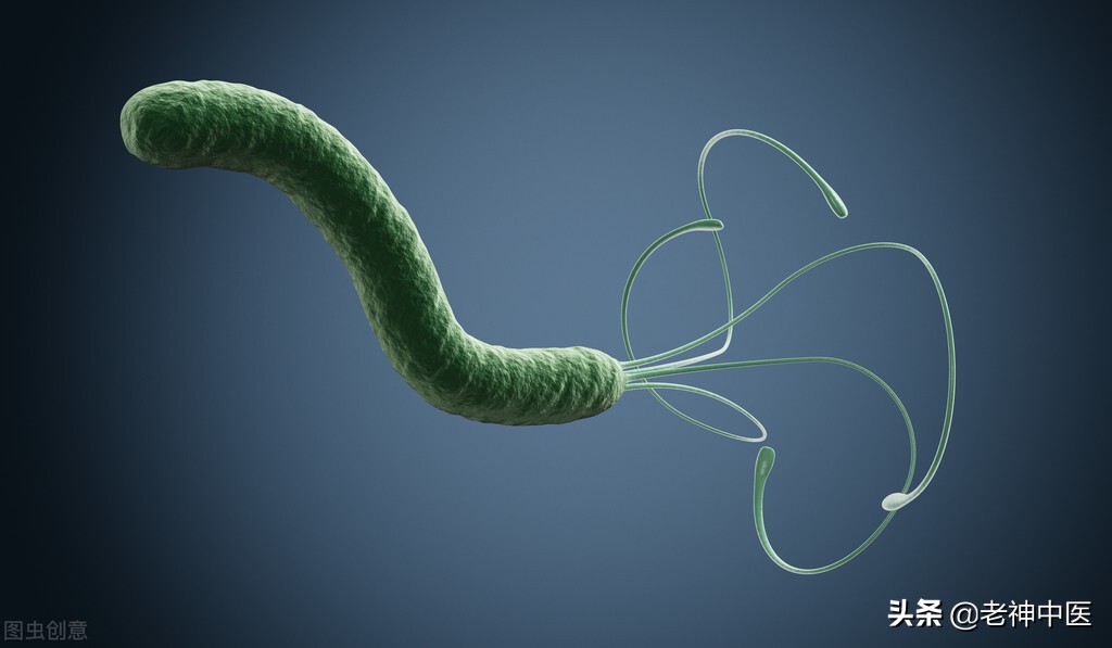 幽门螺旋杆菌胃炎正确的用药方式,幽门螺杆菌萎缩性胃炎的经方治疗