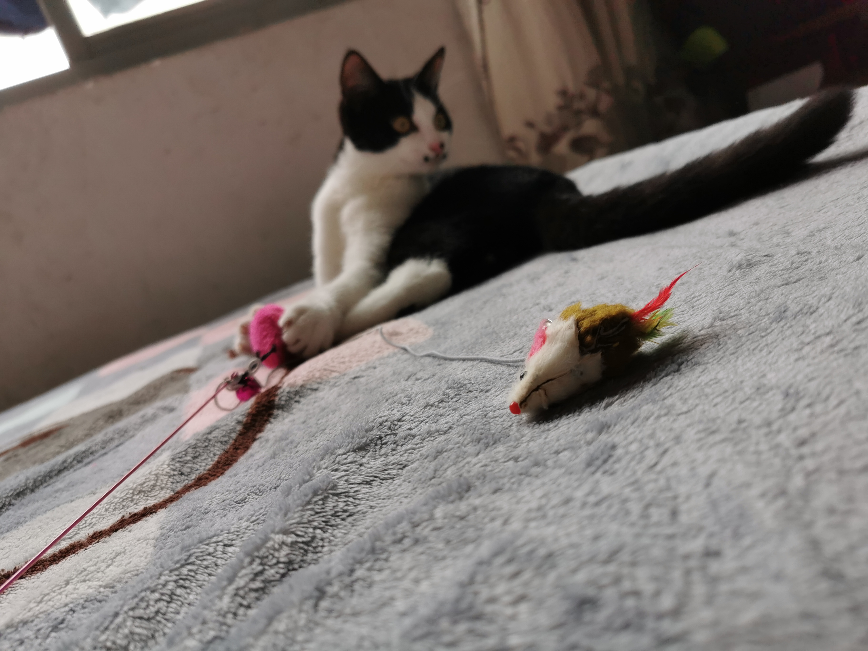 下雨天了我好想你歌词,下雨天了怎么办我好想你原版