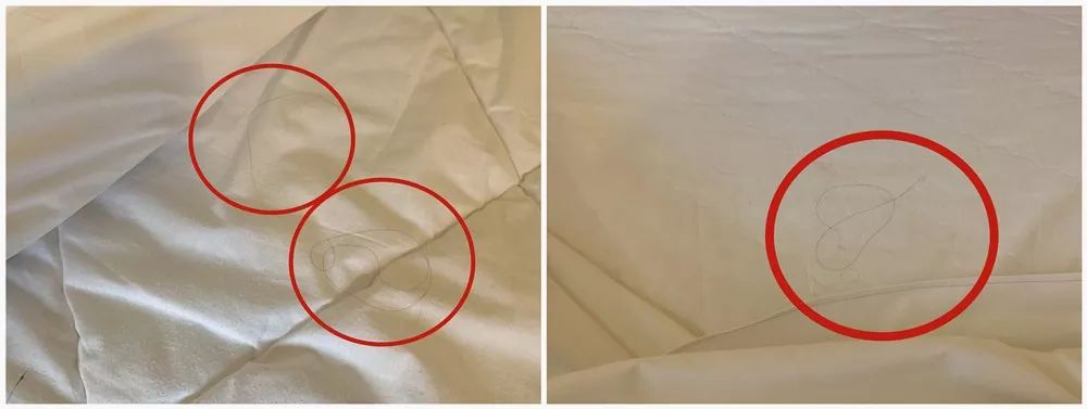 如家七天,如家7天快捷连锁酒店哪个好