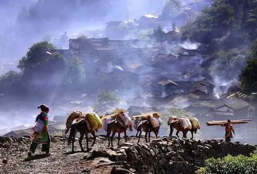 它们冷门，可却是如此幽静美丽